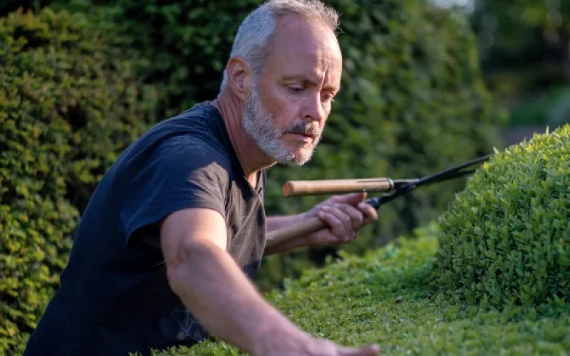 Grd the gardener the buddhist and the spy